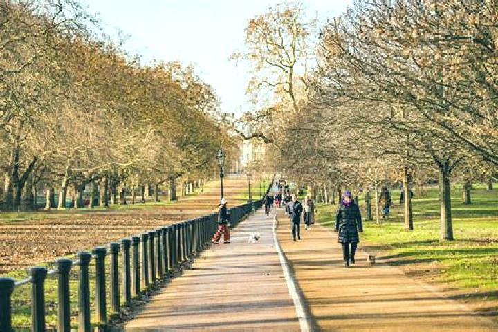 Piper, 24 — Escort in Hyde Park, Australia