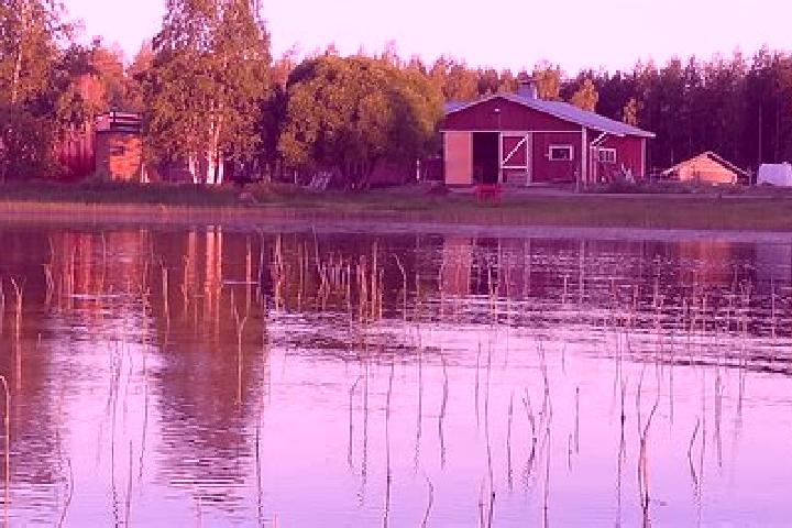 Piper, 24 — Escort in Pyhaejaervi, Finland