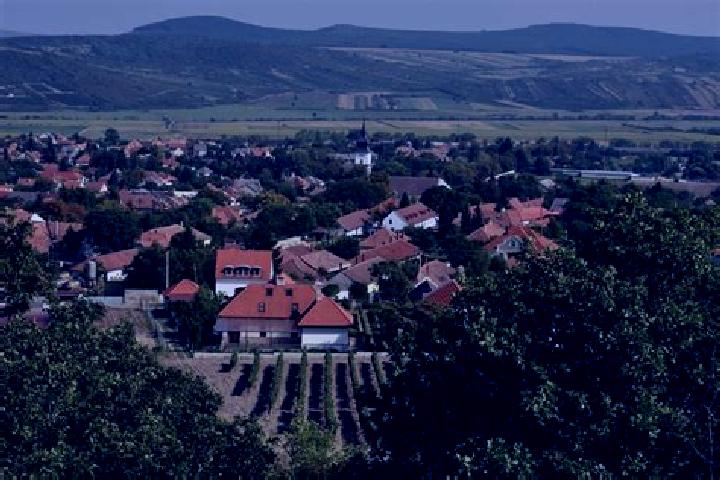 Piper, 24 — Escort in Tokaj, Hungary