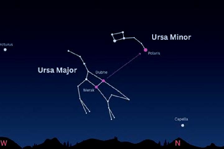Piper, 24 — Escort in Ursa, Romania