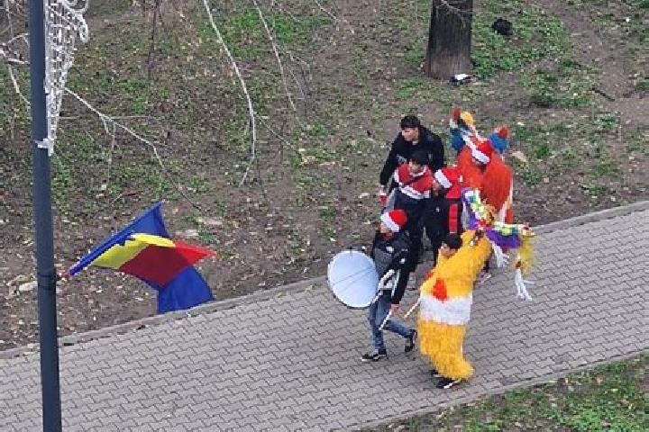 Piper, 24 — Escort in Vintileasca, Romania