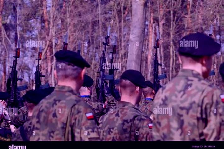 Piper, 24 — Escort in Zagan, Poland