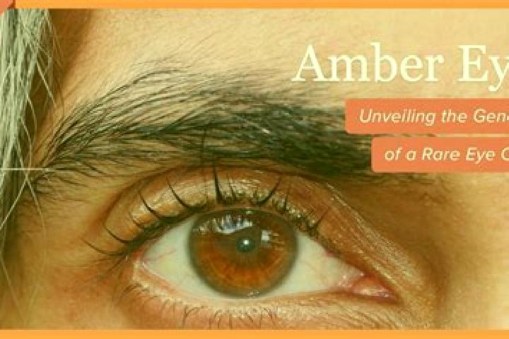 Piper, 25, a red amber-eyed mixed companion based in Havelock North. Offering Massage, Prostate Massage, GFE, Fetish. Available for incall and outcall, day a...