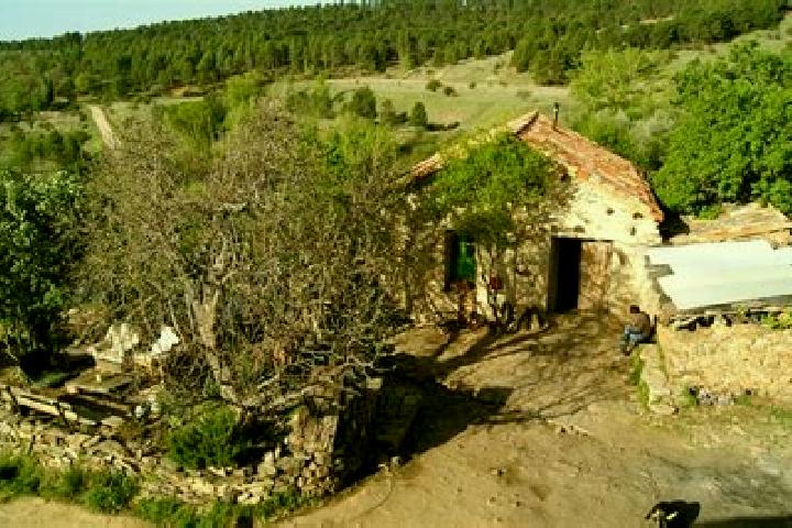 Piper, 25 — Escort in Arroyo de las Fraguas, Spain