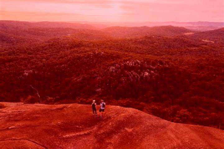 Piper, 25 — Escort in Crows Nest, Australia