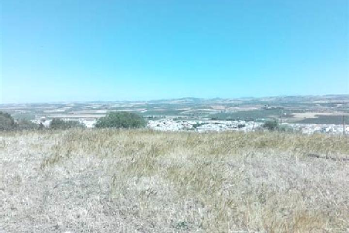 Piper, 25 — Escort in Gallegos del Rio, Spain
