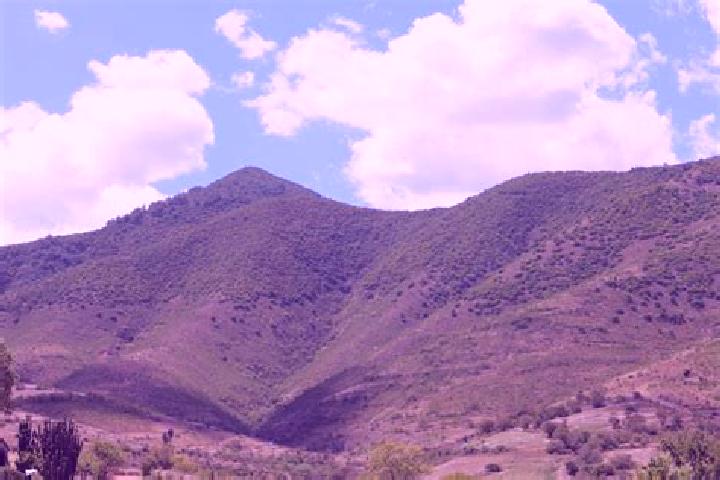 Piper, 25 — Escort in Maguey Largo, Mexico