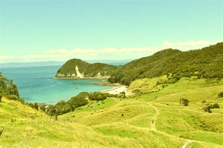 Piper, 25 — Escort in Paraparaumu, New Zealand