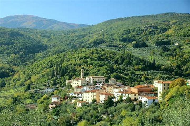 Piper, 25 — Escort in Pelago, Italy