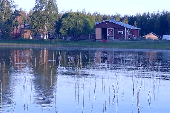 Piper, 25 — Escort in Pyhaejaervi, Finland