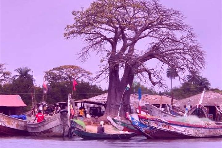 Piper, 25 — Escort in Sulolor, Gambia