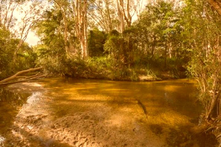 Piper, 25 — Escort in Sulphur Creek, Australia