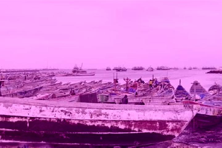 Piper, 25 — Escort in Tekane, Mauritania
