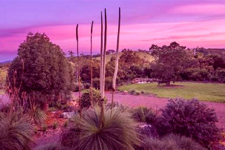 Piper, 25 — Escort in Windsor Gardens, Australia