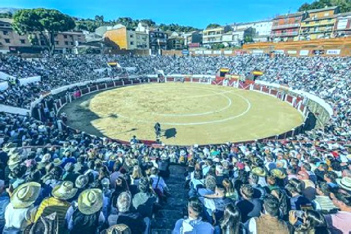 Piper, 26 — Escort in Arenas de San Pedro, Spain