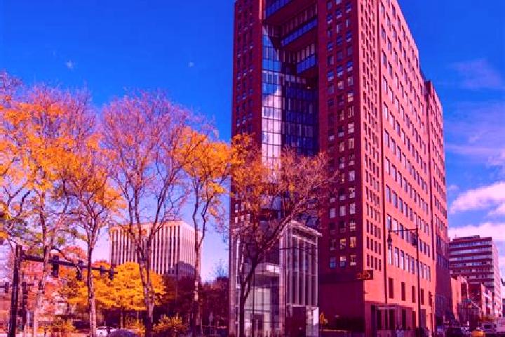 Piper, 26 — Escort in Kendall Square, United States