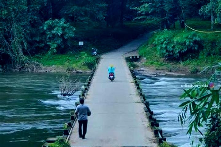 Piper, 26 — Escort in Kuttampuzha, India