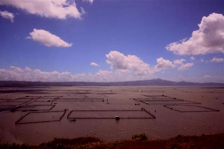 Piper, 26 — Escort in Laguna de Lourdes, Mexico