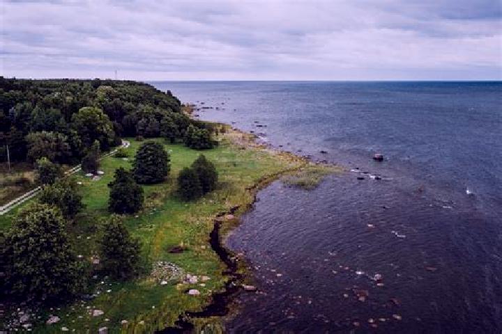 Piper, 26 — Escort in Loo, Estonia