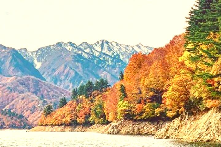 Piper, 26 — Escort in Niigata, Japan