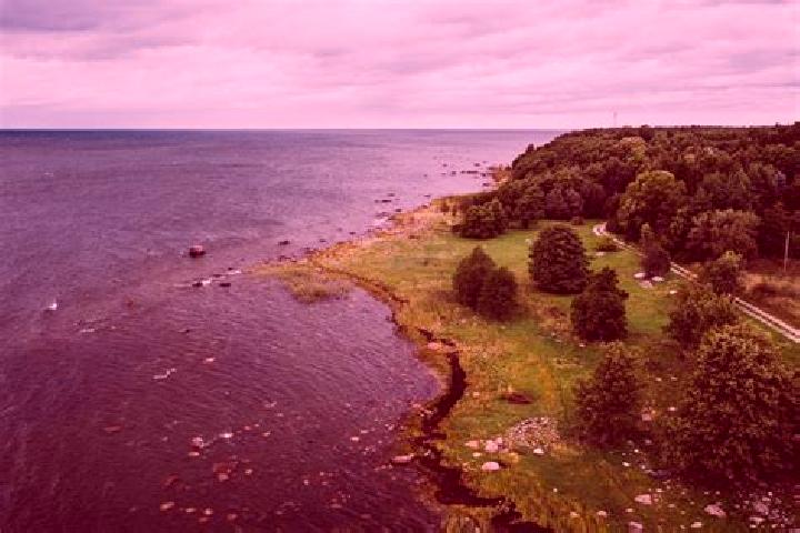 Piper, 26 — Escort in Rummu, Estonia