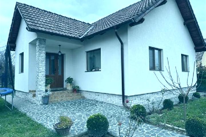 Piper, 26 — Escort in Stanilesti, Romania
