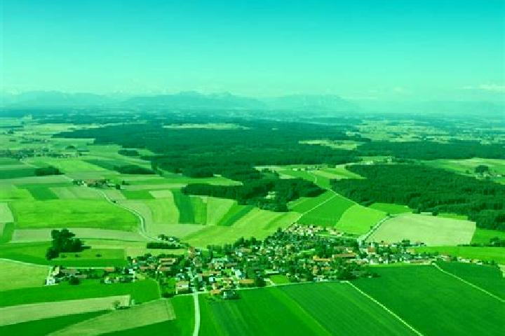 Piper, 26 — Escort in Tyrlaching, Germany