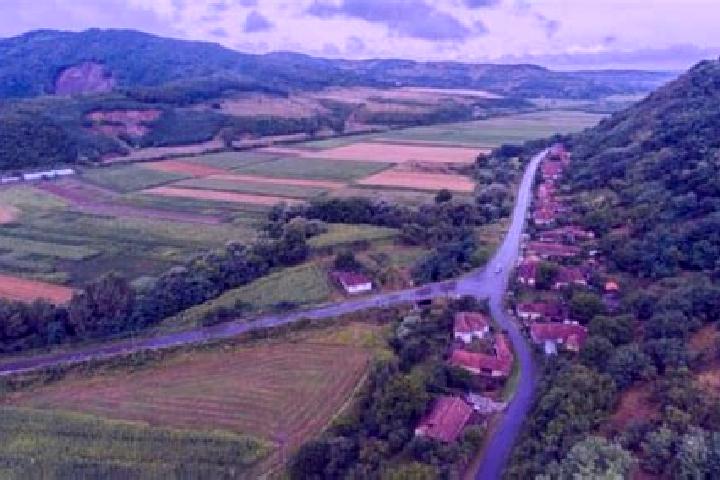 Piper, 26 — Escort in Uileacu Simleului, Romania