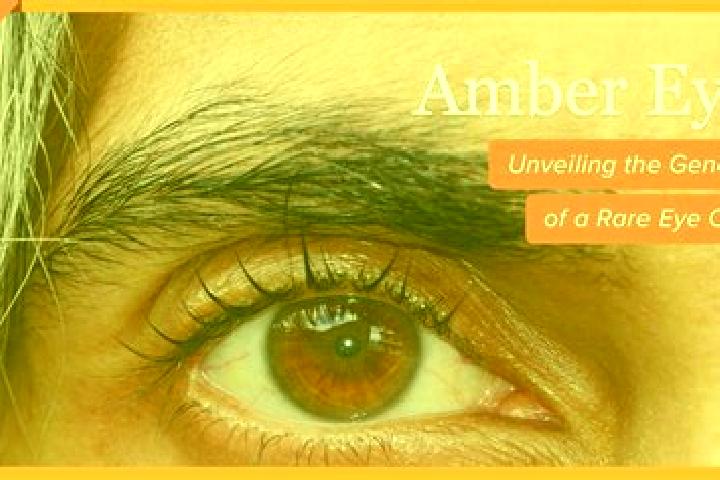 Piper, 27, a black amber-eyed caribbean companion based in Benisheikh. Offering OWO, Massage, Striptease. Available for incall and outcall, day and evening d...