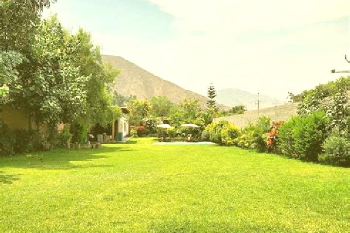 Piper, 27 — Escort in Campo Verde, Peru