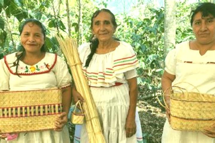 Piper, 27 — Escort in Guanagazapa, Guatemala