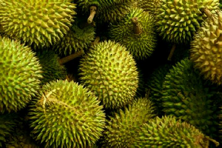 Piper, 27 — Escort in Kampung Simpang Durian, Malaysia