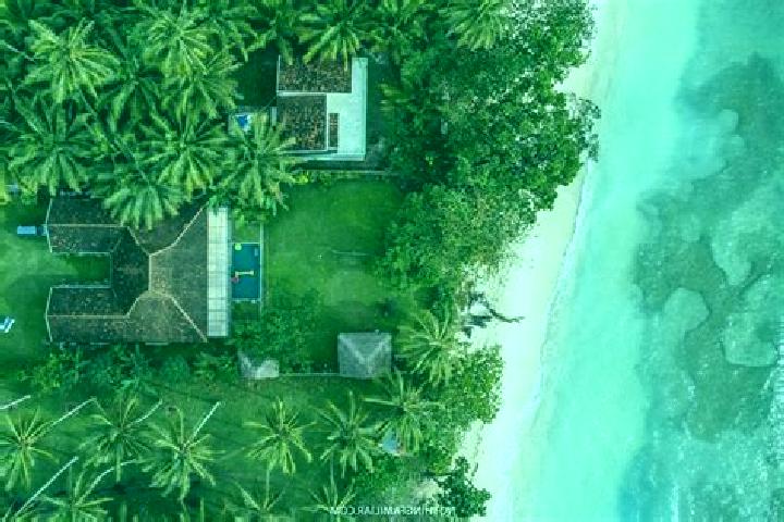 Piper, 27 — Escort in Krui, Indonesia