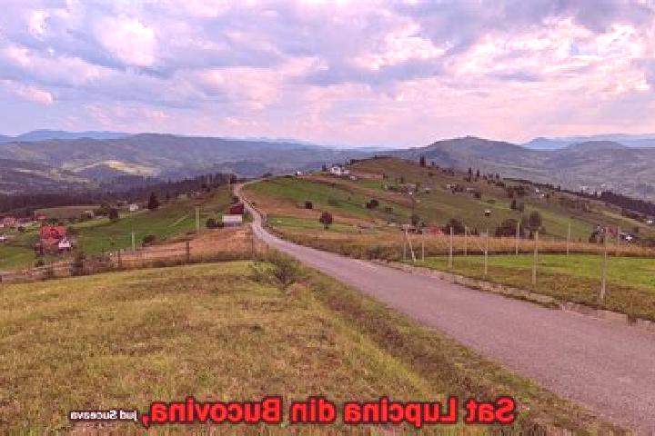 Piper, 27 — Escort in Lupcina, Romania