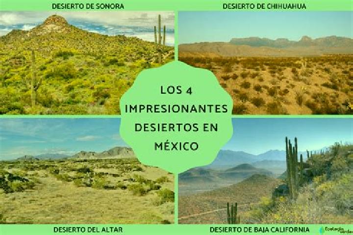 Piper, 27 — Escort in Mesa de los Leones, Mexico