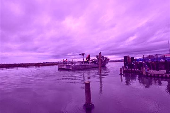 Piper, 27 — Escort in Mussel, Netherlands