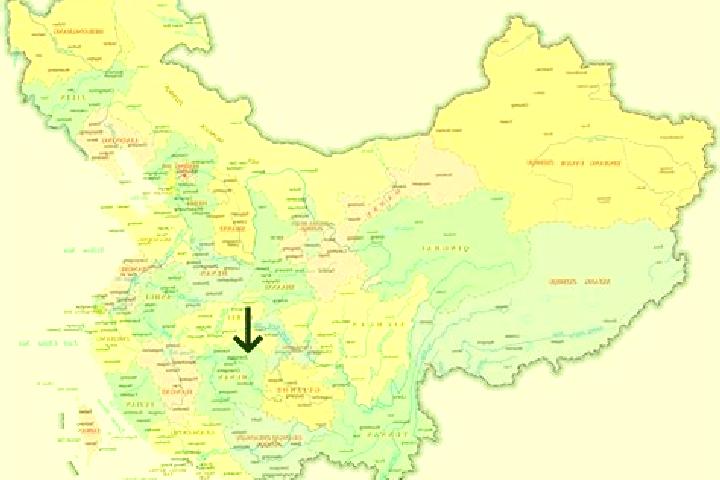 Piper, 27 — Escort in Zhenjiang, China