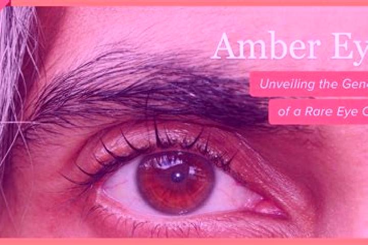 Piper, 28, a black amber-eyed caucasian companion based in Naidas. Offering Party Girl, Massage, 69, Duos. Available for incall and outcall, day and evening ...