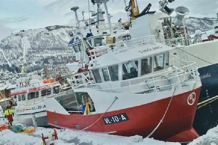 Piper, 28 — Escort in Breivikbotn, Norway