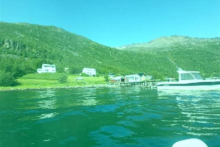 Piper, 28 — Escort in Burfjord, Norway