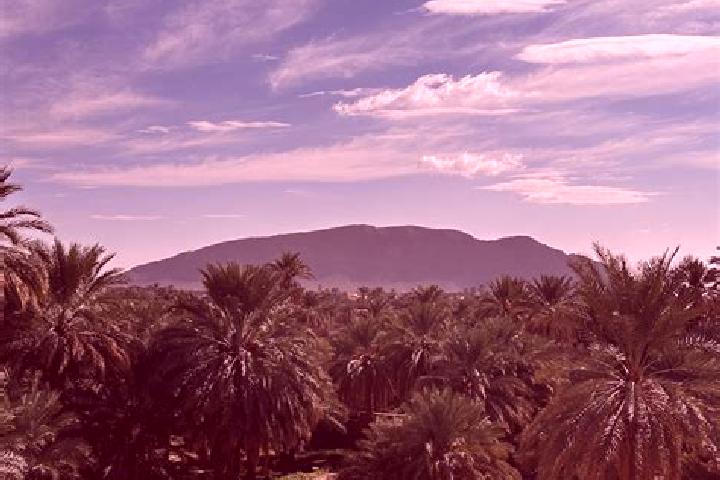 Piper, 28 — Escort in Figuig, Morocco