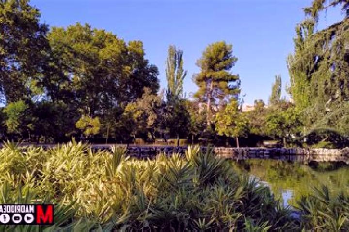 Piper, 28 — Escort in Fuente del Berro, Spain