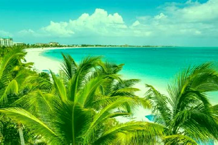 Piper, 28 — Escort in Kew, Turks and Caicos Islands