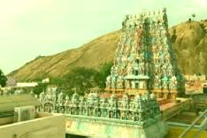 Piper, 28 — Escort in Tirupparangunram, India