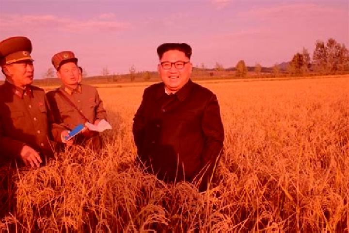 Piper, 28 — Escort in Undok, North Korea