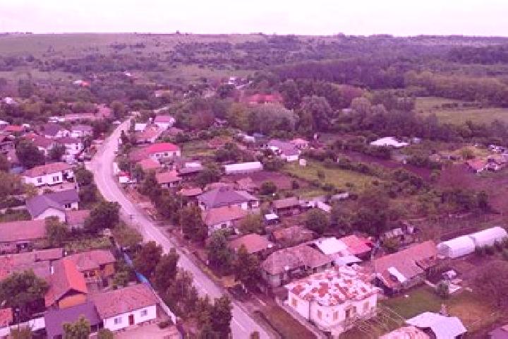 Piper, 28 — Escort in Varvoru de Jos, Romania