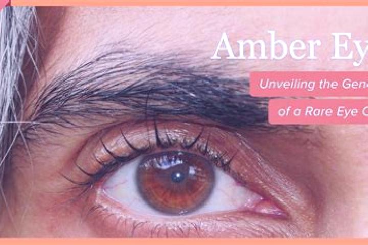 Piper, 29, a black amber-eyed mixed companion based in Lamahala. Offering Duos, OWO, Girlfriend Experience, Fetish. Available for incall and outcall, overnig...