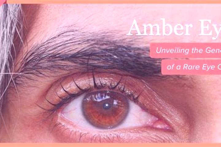 Piper, 29, a red amber-eyed middle eastern companion based in Belzec. Offering Overnight, Dinner Date, Roleplay, Girlfriend Experience. Available for incall ...
