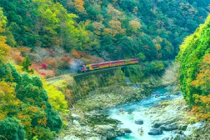Piper, 29 — Escort in Arashiyama, Japan
