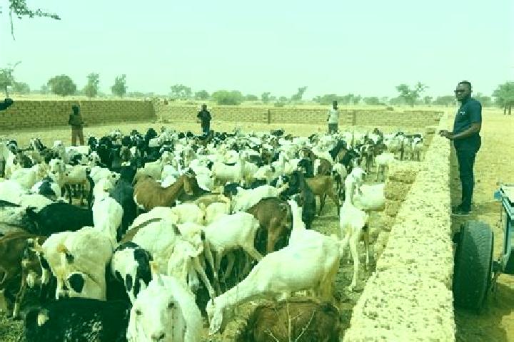 Piper, 29 — Escort in Bagaroua, Niger